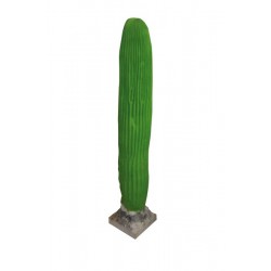 Moyen cactus